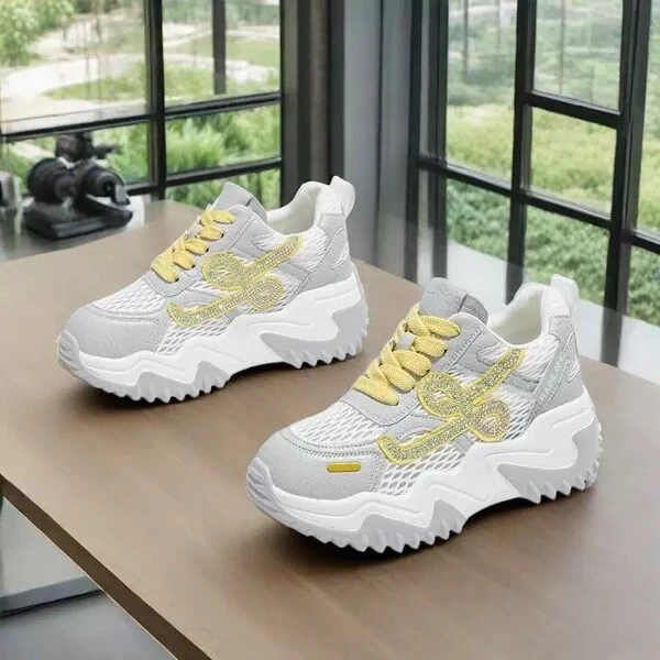 Women's Premium Chunky Mesh Fashion Sneakers
